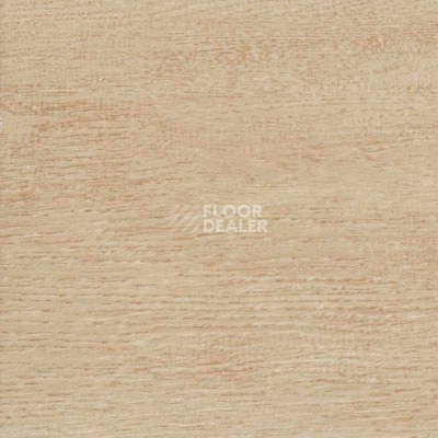 Керамогранит Estima Taste Time ts 03 фото 1 | FLOORDEALER