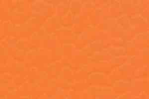 Линолеум Lg Rexcourt SPF6901 фото  | FLOORDEALER