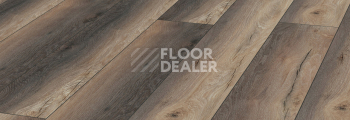 Kronotex Robusto 12мм d80992 Дуб Гнарренбург Титан фото 2 | FLOORDEALER