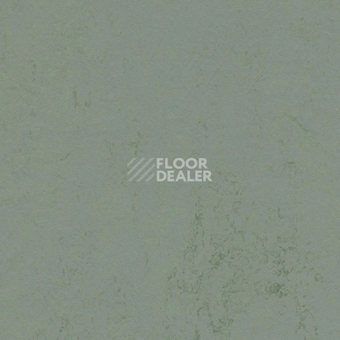 Линолеум Forbo Marmoleum Solid Concrete 3751/375135 tundra фото 1 | FLOORDEALER