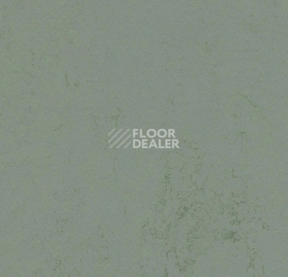 Линолеум Forbo Marmoleum Solid Concrete 3751/375135 tundra фото 1 | FLOORDEALER