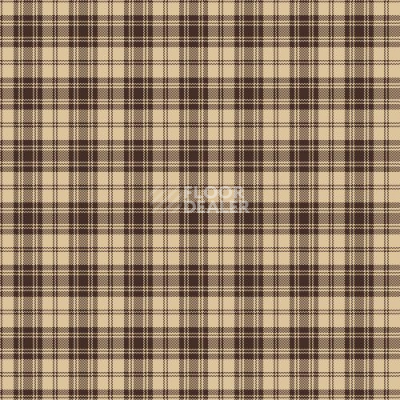 Ковролин Agnella Creation Tenin Umber фото 1 | FLOORDEALER