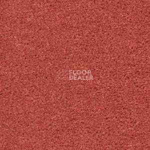 Ковролин Radici Montecarlo 55 фото 1 | FLOORDEALER