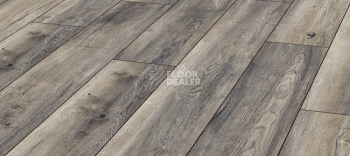 Ламинат Kronotex Robusto 12мм d3572 Дуб Портовый Серый фото 1 | FLOORDEALER