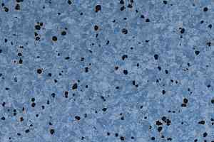 Линолеум DLV Flooring Standard Conductive 806 Blue фото  | FLOORDEALER