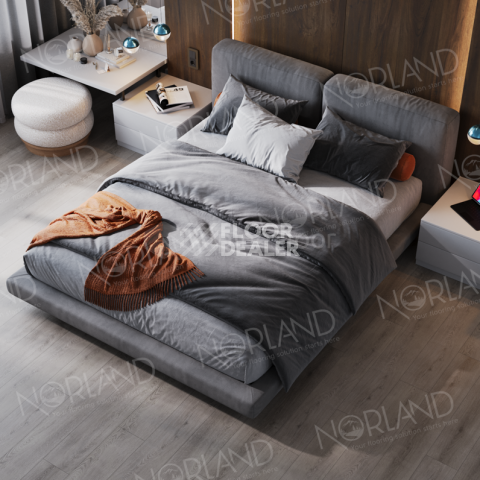 Norland Sigrid Superior 8мм Alante 1008-5 ABA фото 2 | FLOORDEALER