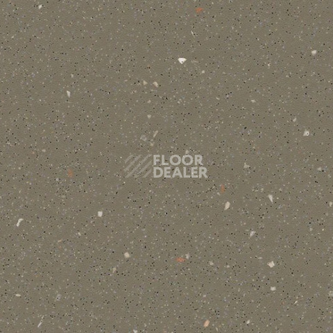 Линолеум Forbo SafeStep R11 174262 umber фото 1 | FLOORDEALER