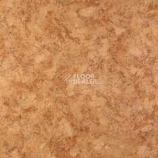 Линолеум Tarkett Standard Gost NUBIA_3 фото 1 | FLOORDEALER