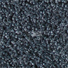 Ковролин Girloon Prestige 570 фото 1 | FLOORDEALER
