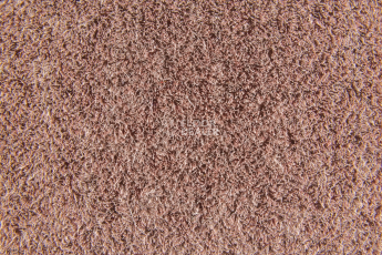 Forbo Flotex Colour Penang 50*50 t 382016 Penang Coral фото 3 | FLOORDEALER