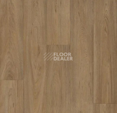Линолеум Forbo Eternal Original 68972 country oak фото 1 | FLOORDEALER