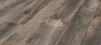 Ламинат Kronotex Mammut d4792 Дуб Серый Макро фото 1 | FLOORDEALER