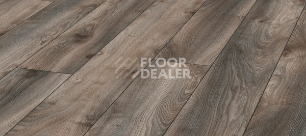 Ламинат Kronotex Mammut d4792 Дуб Серый Макро фото 1 | FLOORDEALER