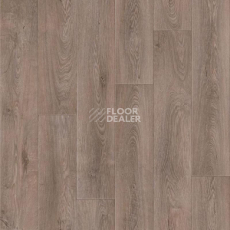 Линолеум Tarkett Activa Latur 3 фото 1 | FLOORDEALER