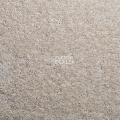Ковролин Sintelon Harmony 00156 фото 1 | FLOORDEALER