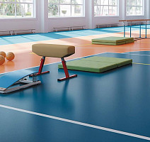 Apoluza Sportfloor pvc Gem color 8.5