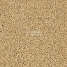 Ковровая плитка Forbo Sharepoint 1198 фото 1 | FLOORDEALER