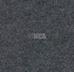 Ковролин Forbo Flotex wonderlab 07 900272 Steel фото 1 | FLOORDEALER
