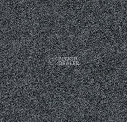 Ковролин Forbo Flotex wonderlab 07 900272 Steel фото 1 | FLOORDEALER