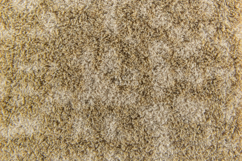 Forbo Flotex Colour embossed tiles tg 546512 Metro Sand Glass Embossed фото 2 | FLOORDEALER