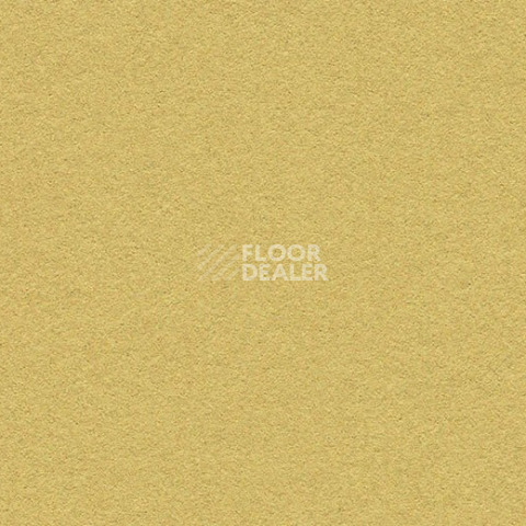 Линолеум Forbo Marmoleum Bulletin Board 2212 fresh pineapple фото 1 | FLOORDEALER