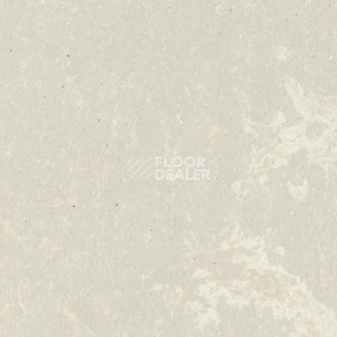 Линолеум Forbo Marmoleum Solid Concrete 3708-370835 fossil фото 1 | FLOORDEALER