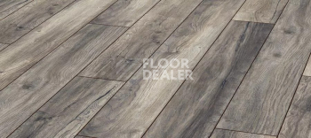 Ламинат Kronotex Aqua Amazone 10мм D3572 Дуб Портовый серый фото 1 | FLOORDEALER