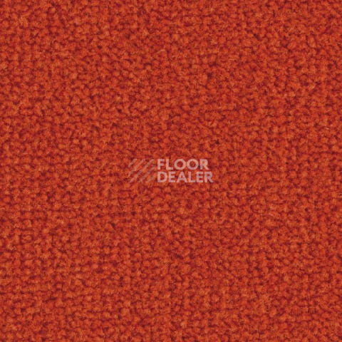 Ковролин Balsan Les Best 470 фото 1 | FLOORDEALER