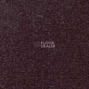 Ковролин Radici Montecarlo 85 фото 1 | FLOORDEALER