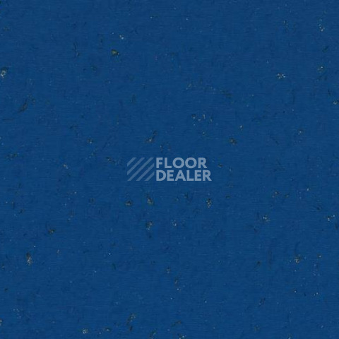 Кварцвиниловые полы Forbo Allura Colour C68035 фото 1 | FLOORDEALER