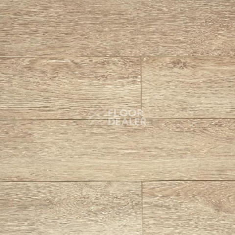 Ламинат Biela Cbm Silence 10мм 733-10 Дуб Гура фото 1 | FLOORDEALER