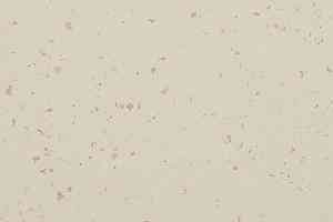 Линолеум Gerflor Mipolam BioControl Clean 5404 Vanilla Sky фото  | FLOORDEALER