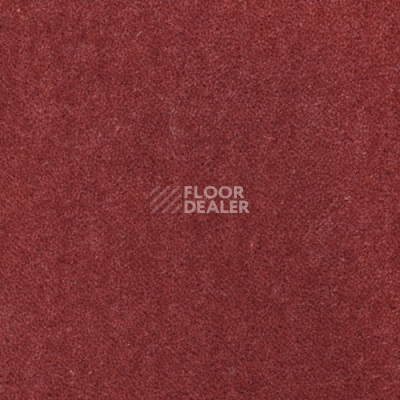 Ковролин Creatuft Sheba 1045 Egyptian red 5m фото 1 | FLOORDEALER