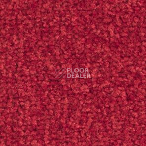 Ковролин Balsan Bolero roll 560 фото 1 | FLOORDEALER