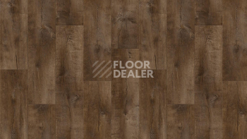Линолеум Tarkett Gladiator Saratoga 3 фото 1 | FLOORDEALER