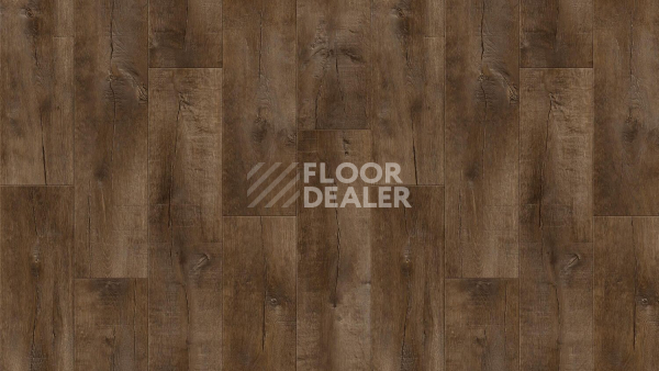Линолеум Tarkett Gladiator Saratoga 3 фото 1 | FLOORDEALER