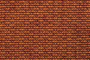 Ковролин Carpet Concept Eco Iqu 8262 фото  | FLOORDEALER
