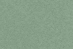 Линолеум Gerflor Tarasafe Standard 7508_Avocado фото  | FLOORDEALER