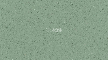Линолеум Gerflor Tarasafe Standard 7508_Avocado фото 1 | FLOORDEALER