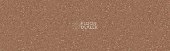 Линолеум Tarkett Tempo Plus 1005 фото 1 | FLOORDEALER