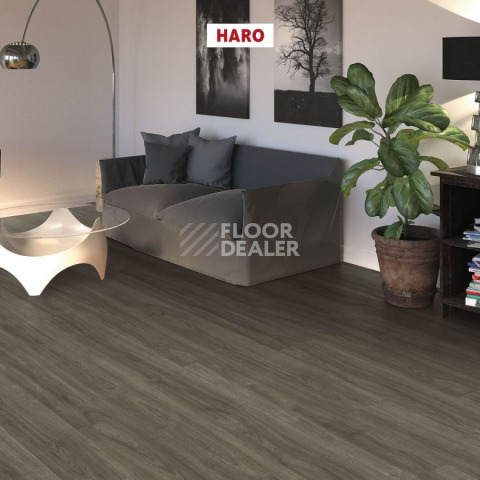 Haro Tritty 100 4V ДУБ ЭЛЕГАНЗА АНТИЧНЫЙ СЕРЫЙ 541471 фото 2 | FLOORDEALER