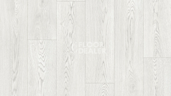 Линолеум Tarkett Club EVORA 1 фото 1 | FLOORDEALER