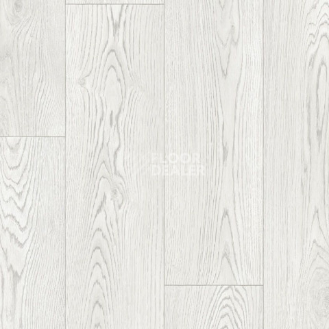 Линолеум Tarkett Club EVORA 1 фото 1 | FLOORDEALER