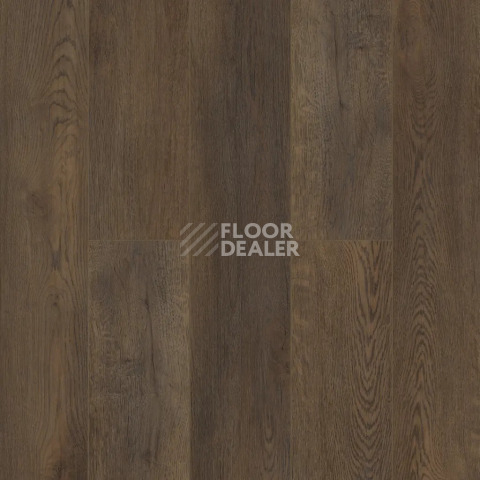 Кварцвиниловые полы Alpine Floor Easy Line 3мм Дуб Гоен ЕСО3-45 фото 1 | FLOORDEALER