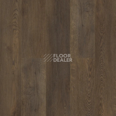 Кварцвиниловые полы Alpine Floor Easy Line 3мм Дуб Гоен ЕСО3-45 фото 1 | FLOORDEALER