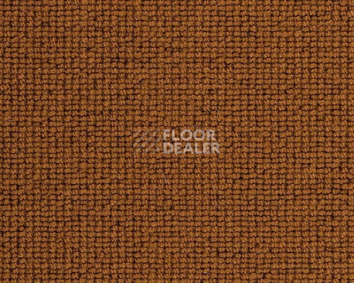 Ковролин Best Wool Hospitality 1 h 1450 - f 70000 фото 1 | FLOORDEALER