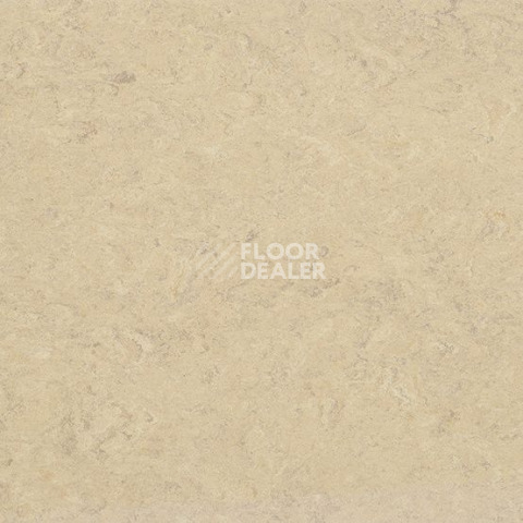 Линолеум Gerflor Marmorette DLW 2.5mm 0243 Marble Beige фото 1 | FLOORDEALER