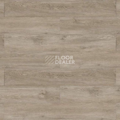 Evofloor Life Click 4.2мм Дуб Сите фото 3 | FLOORDEALER