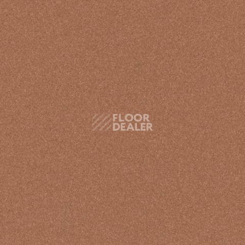 Линолеум Tarkett iq Melodia 2618 фото 1 | FLOORDEALER