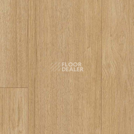 Parador Basic Plus 400 V 1744349 Дуб Престиж Природа фото 2 | FLOORDEALER